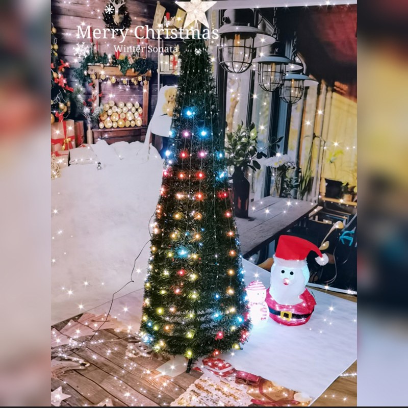 DTL-RGB series 17functions colorful Christmas tree light