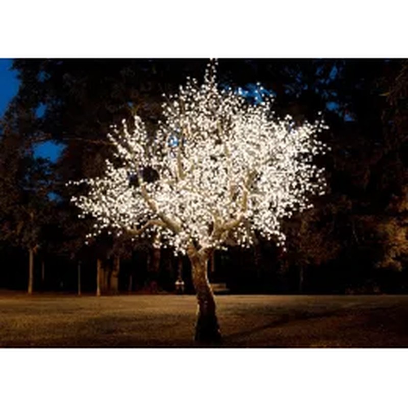 Warm White Cherry Blossom LED Light Tree for Sale