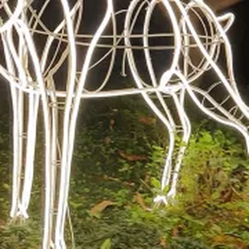 Outdoor Reindeer Lights for Christmas Decoration